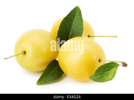 cherry plums isolated on the white background. Stock Photo
