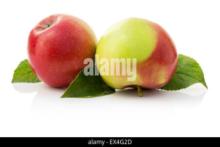 Two ripe apples on a white background. Stock Photo