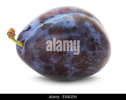 purple plum isolated on the white background. Stock Photo