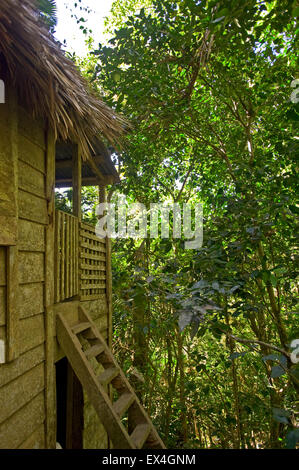 Vertical view of Fidel Castro's house in Turquino National Park, Cuba. Stock Photo