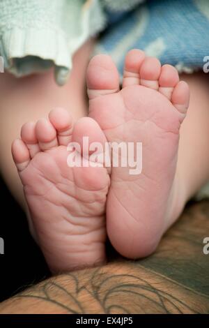 A newborn baby's feet hours after it was born Stock Photo