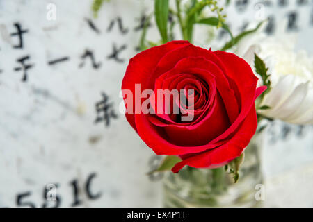 Ossarium at St. Michael's Catholic Cemetery in Hong Kong ossuarium, ossuary Stock Photo