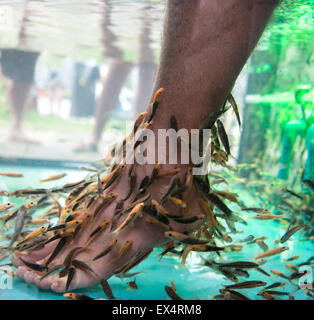 Fish foot spa providing a pedicure treatment. Stock Photo