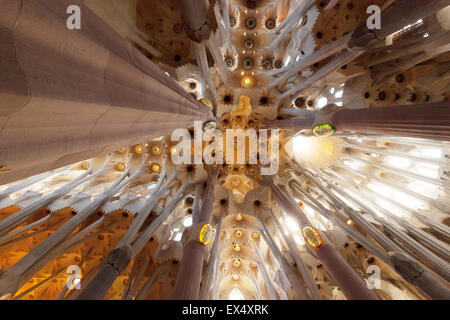 The interior ceiling of the Sagrada Familia cathedral by Antoni Gaudi, Barcelona, Spain Europe Stock Photo