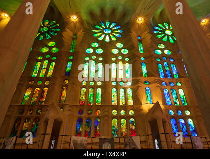 Stained glass windows seen from the interior, Sagrada Familia cathedral, Barcelona, Spain Europe Stock Photo