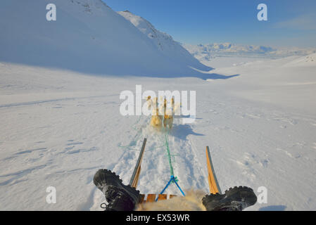 Dog sledding trip in cold snowy winter in Greenland Stock Photo