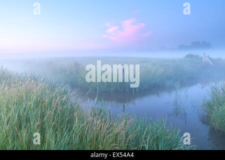 Dutch farmland with river in foggy sunrise Stock Photo
