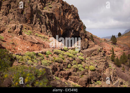 hiking path at the valley Valle Gran Rey, La Gomera, Canary Islands, Spain, Europe Stock Photo