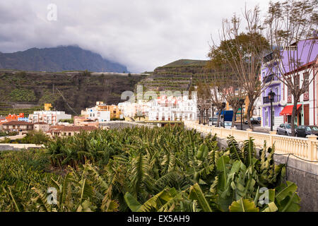 ESP, Spain, the Canary Islands, island of La Palma, Tazacorte at the west coast, banana plantation.  ESP, Spanien, Kanarische In Stock Photo