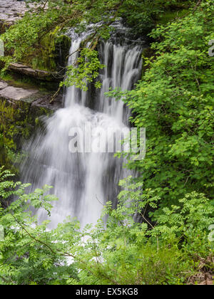 Sgwd Isaf Clun Gwyn waterfall,  River Mellte, Brecon Beacons National Park, Powys, Wales, UK Stock Photo