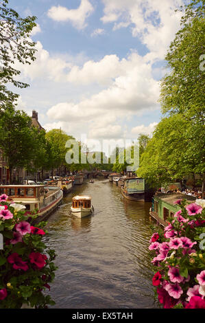 Houseboats and barges moored along a beautiful tree lined Amsterdam canal in the Netherlands, EU. Stock Photo
