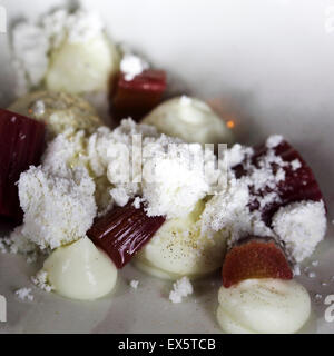 A dessert of rhubarb with goat's milk yoghurt and lemon, served at the Restaurant de Jong in Rotterdam, the Netherlands. Stock Photo