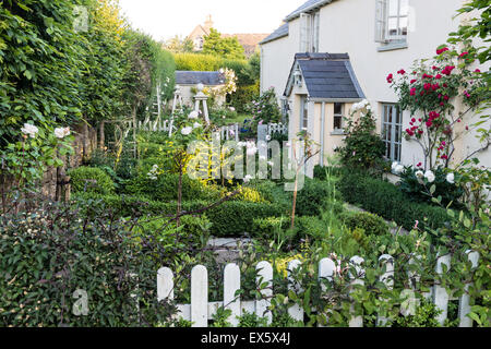 Honeysuckle growing along a white picket fence in english country garden Stock Photo