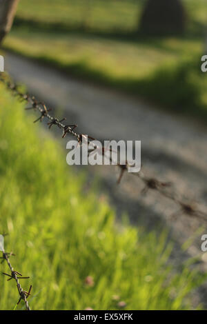 Section of barbed wire fence, Est Europe, Romania. Stock Photo