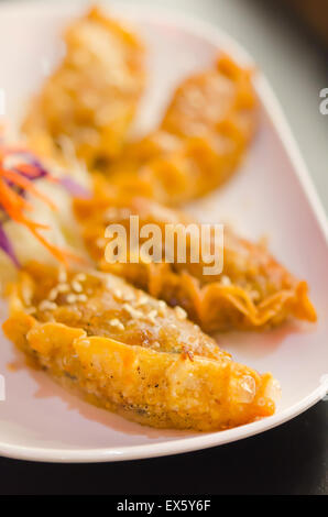 Fried Dumplings Chinese Style Cuisine Stock Photo