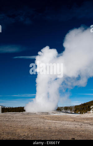 Old Faithful Geyser erupting in Yellowstone National Park, WY Stock Photo