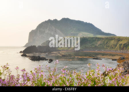 Landscape of Seongsan Ilchulbong, view from Olle trail No. 1 in a morning. Ilchulbong is a volcanic cone located on the eastern Stock Photo