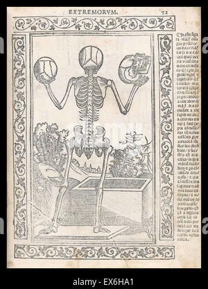 Anatomical illustration from 'Isagogae breues, perlucidae ac uberrimae, in anatomiam humani corporis a communi medicorum academia usitatam' by Jacopo Berengario da Carpi, Bologna 1523. Stock Photo