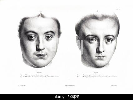 illustration from 'Traitè de phrénologie humaine et comparée (Paris, 1832-1835); by Joseph Vimont 1795 - 1857. phrenology was founded in the early 19th century by Franz Josef Gall (1758-1828). It holds that different intelligences and personality traits h Stock Photo