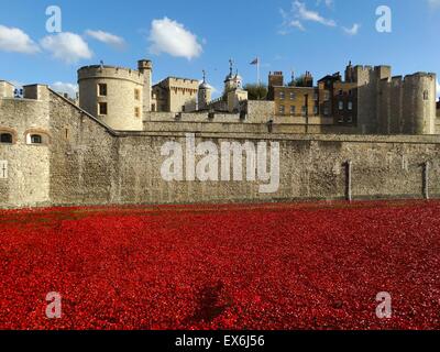 Art installation titled 'Blood Swept Lands and Seas of Red'. The dry moat was filled with 800,000 ceramic poppies commemorating the First World War Centenary. Created by ceramic artist Paul Cummins and theatre stage designer Tom Piper. Stock Photo