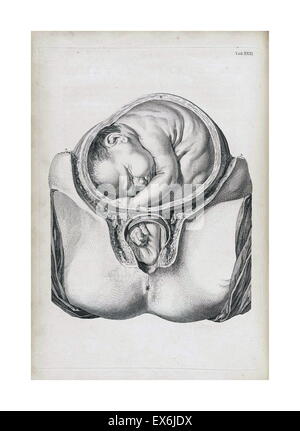 Illustration from 'A sett of anatomical tables, with explanations, and an abridgment, of the practice of midwifery'. (London: 1754). By William Smellie (1697 – 1763) a Scottish obstetrician Stock Photo