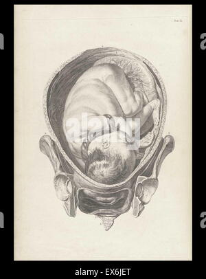 Illustration from 'A sett of anatomical tables, with explanations, and an abridgment, of the practice of midwifery'. (London: 1754). By William Smellie (1697 – 1763) a Scottish obstetrician Stock Photo