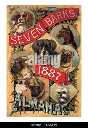 By the end of the 19th century, at least one patent medicine almanac was printed for every two Americans. While they included the main elements of the traditional almanac, their primary purpose was to sell their product. From their simple beginning, they Stock Photo