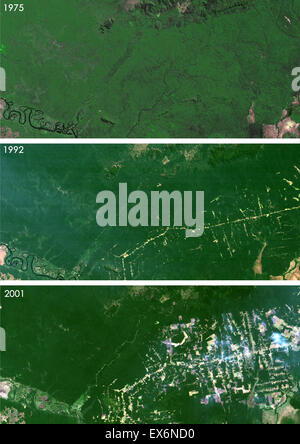 Satellite view deforestation in rondonia brazil hi-res stock photography  and images - Alamy