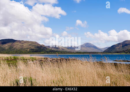 View across Loch na Keal to mountains from Kellan on Scottish island. Isle of Mull Argyll and Bute Inner Hebrides Western Isles Scotland UK Britain Stock Photo