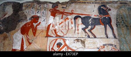 Fresco from the tomb of Nebamun, shows Nebamun watching agricultural activities. The painting shows a man, probably an official under Nebamun's supervision, bending over a white boundary marker stone, holding a stick. The chariots at the right show how he Stock Photo