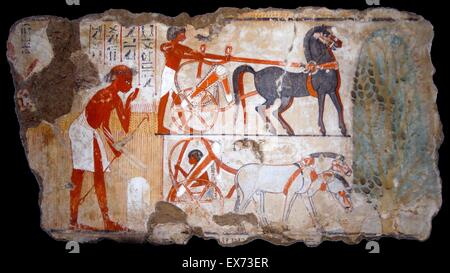 Fresco from the tomb of Nebamun, shows Nebamun watching agricultural activities. The painting shows a man, probably an official under Nebamun's supervision, bending over a white boundary marker stone, holding a stick. The chariots at the right show how he Stock Photo