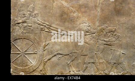 Relief depicting The royal lion hunt. Assyrian, about 645-635 BC From Nineveh, North Palace. Grooms lead horses towards a screened enclosure, within which the royal chariot is being prepared for the hunt. Men struggle to push one horse into position; the Stock Photo