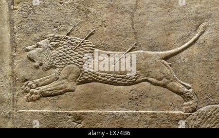 Relief depicting The royal lion hunt. Assyrian, about 645-635 BC From Nineveh, North Palace. The king, with his high distinctive hat, races round the arena in his chariot, shooting arrows at a succession of lions; one arrow, in mid-air, follows a wounded Stock Photo