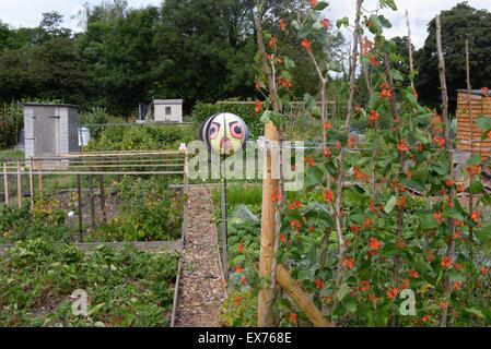 Scarecrow ball on a stick in an allotment, UK Stock Photo