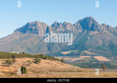 The Helderberg (clear mountain) with vineyards on its slopes near Somerset West in the Western Cape Province of South Africa Stock Photo