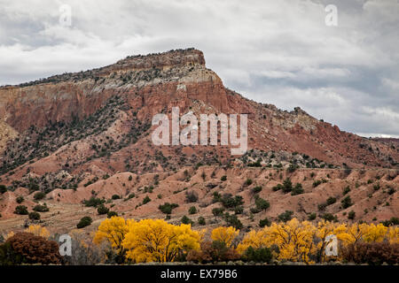 Red bluff and yellow cottonwoods in fall, Ghost Ranch, New Mexico USA Stock Photo