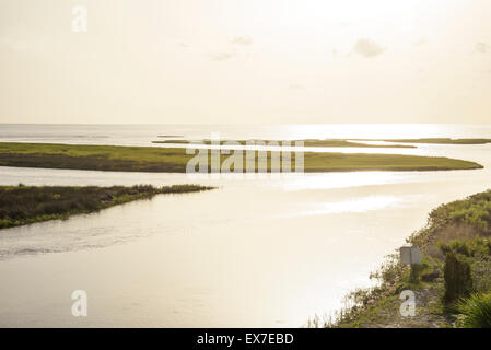 Salt marsh lining Fish Creek, Big Bend Seagrasses Aquatic Preserve, Florida Stock Photo