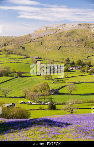 Bluebells above Austwick in the Yorkshire Dales, UK. Stock Photo