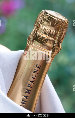 Alfresco Champagne bottle in wine cooler in luxury alfresco summer garden situation Stock Photo