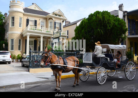 cornstalk hotel new orleans haunted elvis presley french quarter mule drawn carriage Stock Photo