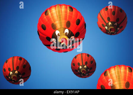 Ladybird style balloons a float in the air Stock Photo