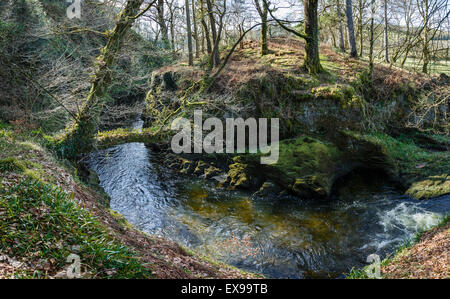 Afon Tywi, Carmarthenshire, Gb, United Kingdom, Wales, N 51 45' 14'', S 