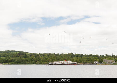 LOCH LOMOND SHORES, BALLOCH, SCOTLAND, UK - 9 JULY 2015: Sea gulls circling above The Maid of the Loch paddle steamer Stock Photo