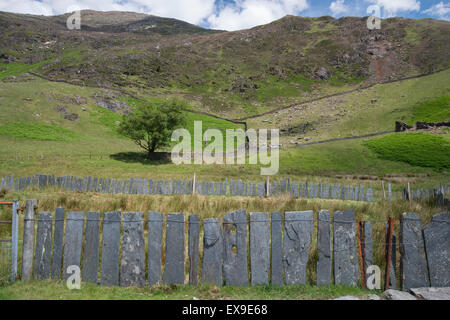 Traditional Slate Hedge, Watkin  Path, Snowdonia National Park, north Wales. Stock Photo