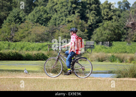 Bushy Park, SW London, UK. 9th July, 2015. Out for a bike ride at the Heron Pond on a warm, sunny day at Bushy Park, South West London. Credit:  Julia Gavin UK/Alamy Live News Stock Photo