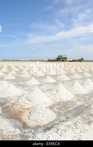 Salt fields in sunny day on SAMUTSAKORN, THAILAND. Stock Photo