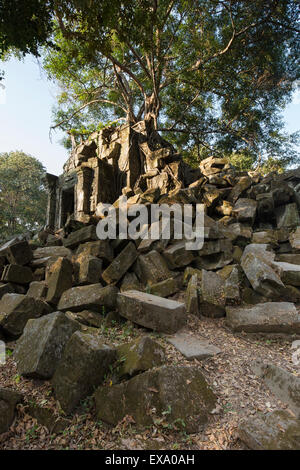 Asia, Cambodia, Siem Reap Province, Trees rise from ruins of Beng Mealea Temple Stock Photo