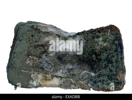 Moldy sliced bread Stock Photo