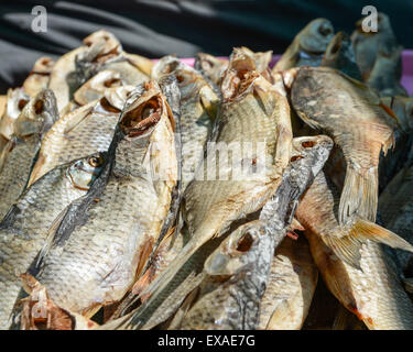 a bunch of all sorts of different dried fish Stock Photo