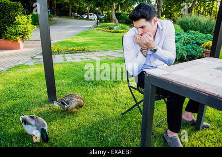 Frightened Young Man Sitting at Outdoor Table and Staring Nervously at Pair of Mallard Ducks Grazing on Green Grass Stock Photo